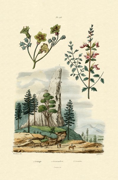 Geologie von French School